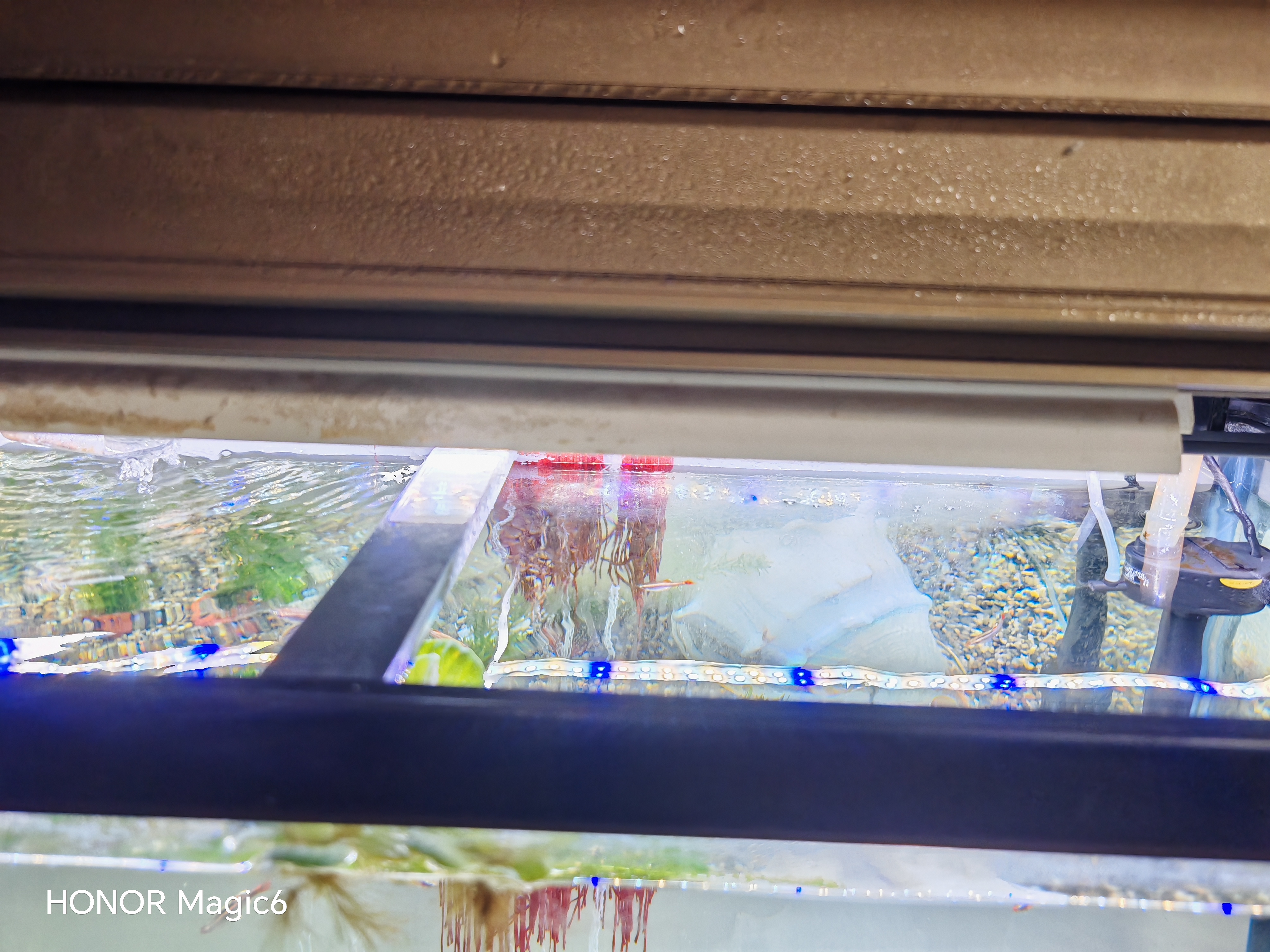 吉印刀锋s鱼缸灯led灯防水全光谱鱼缸照明灯水草灯小型专用鱼灯76cm 实拍图
