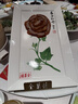 荣耀X70 12+512 朱砂红  金标十面抗摔 80W无线超级快充 IP69防水 荣耀绿洲护眼屏 AI手机 实拍图