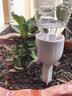 农宝滴水器浇花神器懒人绿植浇花器滴灌出差定时渗水器自动浇水器 实拍图