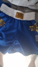 九日山 专业散打服 龙服 比赛训练服装 散打裤 短裤背心 武术练功服 男款蓝色 L 实拍图