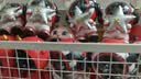 啄木鸟帽子男士棒球帽四季潮流百搭鸭舌帽夏季户外运动防晒帽男女太阳帽 实拍图
