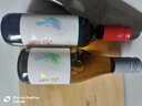 西鸽酒庄玉鸽小瓶干白女士葡萄酒整箱187ml*6 贺兰山东麓宁夏红酒微醺 实拍图
