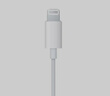 Apple/苹果 EarPods 闪电/Lightning有线耳机 iPhone耳机原装耳机适用闪电接口的手机平板 实拍图