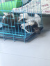 优基狗粮全价犬粮冻干生骨肉成犬幼犬通用型金毛柯基小中大型犬粮营养 生骨肉冻干犬粮10kg20斤 实拍图