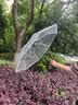 范爷家ins风透明雨伞女自动伞折叠韩系高颜值三折学生磨砂伞网红拍照伞 实拍图