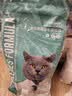 凯锐思英短猫粮专用蓝猫幼猫成猫深海鱼鱼肉猫食天然粮 英短2kg*5 实拍图