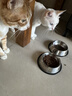 京东京造 冻干双拼全价猫粮10kg鱼肉味 全阶段成猫幼猫[新老包装随机发货] 实拍图