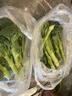 绿食者 甜杆西兰苔 新鲜蔬菜芦笋西兰花时令蔬菜清甜脆嫩西餐食材 500g 实拍图