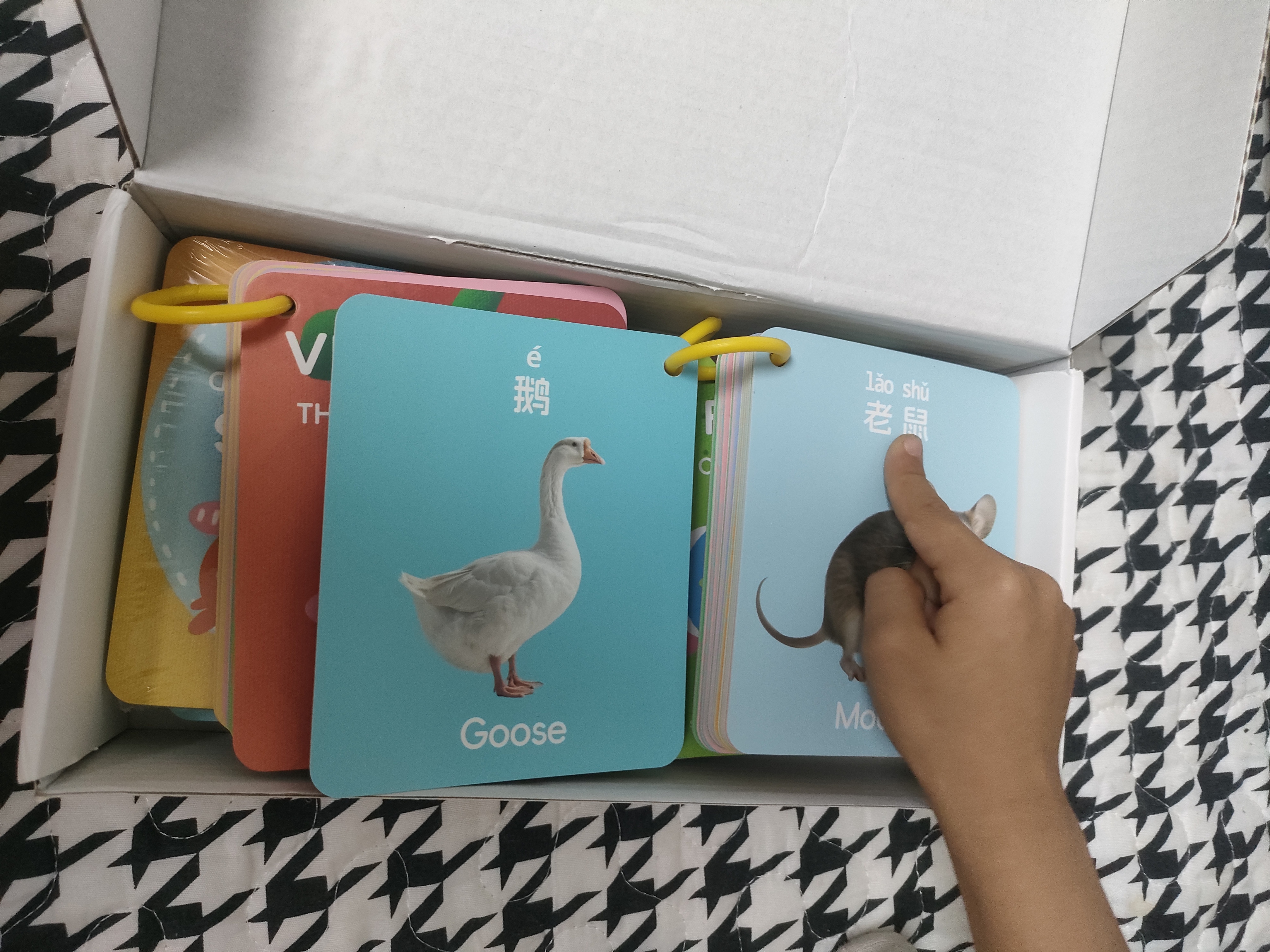 COODORA宝宝认知卡片婴幼儿早教识物闪卡1-3岁彩色大尺寸加厚套装启蒙 实拍图