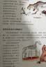物种起源（少儿彩绘新版）/少儿万有经典文库系列    实拍图