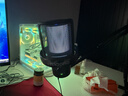 闪克（maono） 麦克风电脑无线收音麦游戏直播唱歌k歌录音降噪AI变音手机话筒台式桌面麦克风Horcus同款闪客dm40 DM40Pro黑-配送双支架(Horcus同款) 实拍图