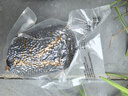 山山竹炭包汽车用新车车内除甲醛除异味专用车载吸去除味活性炭1440g 实拍图