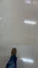 大禹韭菜根苗新根紫红根大叶韮菜移栽根种子四季寿光本地老品种蔬菜 寿光紫根宽叶韭菜根苗2500棵批发 紫根不明显 实拍图