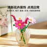 乐高（LEGO）积木11514 心动的信号同款波斯菊男女孩儿童玩具生日礼物 实拍图