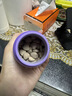 卫仕（NOURSE）猫多维魔方冻干猫咪日常所需复合维生素营养乳铁蛋白高免营养片 乳铁蛋白猫多维200片 实拍图