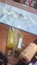 娇兰（Guerlain）幻彩流星粉球珍珠白色散粉蜜粉定妆控油彩妆礼盒生日礼物送女友 实拍图