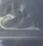 骆驼（CAMEL）风洞2代2026春夏网面运动男女鞋透气轻量休闲健步跑步鞋子 K16B608025，黑色，男 39 实拍图