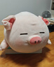 名创优品（MINISO）小猪B-BO翅膀款趴毛绒公仔玩具玩偶抱枕娃娃靠枕生日礼物女 实拍图