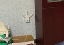 COMFASTwifi信号放大器千兆1200M双频家用无线网络信号中继扩展器四天线大功率wifi信号增强器CF-WR762AC 实拍图