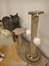 HELLOJOY猫抓板猫爬架一体耐磨不掉屑剑麻抓柱耐抓逗猫棒猫咪玩具自嗨解闷 实拍图