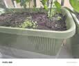德沃多蔬菜专用营养土50L园艺种菜土壤盆栽果蔬养花土种植基质土 实拍图
