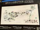 泓一早餐面包5箱 紫米面包岩烧夹心吐司手撕代餐零食1500g源头直发 实拍图