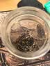 天之红茶叶新茶红茶一级祁门红茶试饮小包4g 便携装 实拍图