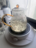 小熊（Bear）迷你电陶炉 煮茶器煮茶炉煮茶壶 养生围炉煮茶老白茶黑茶花茶泡茶不挑器具 DTL-J13N3 实拍图