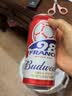 百威【梅西同款】世界杯珍藏版啤酒【40周年限定】500ML*12礼盒装 实拍图