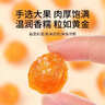 福东海 桂圆肉500g【0添加】10A特级高州特产即食无核龙眼肉干气血零食 实拍图