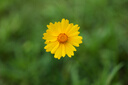 松下（Panasonic）Lumix S5M2 全画幅相机 L卡口 微单相机 无反数码相机 【85mm F1.8 白盒】套装 实拍图
