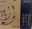 蒙牛特仑苏低脂纯牛奶250ml×16盒 健身减脂 送礼盒装端午礼盒 实拍图