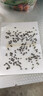 达豪苍蝇贴100张粘蝇纸灭蝇器苍蝇胶粘虫板家用诱捕器 实拍图