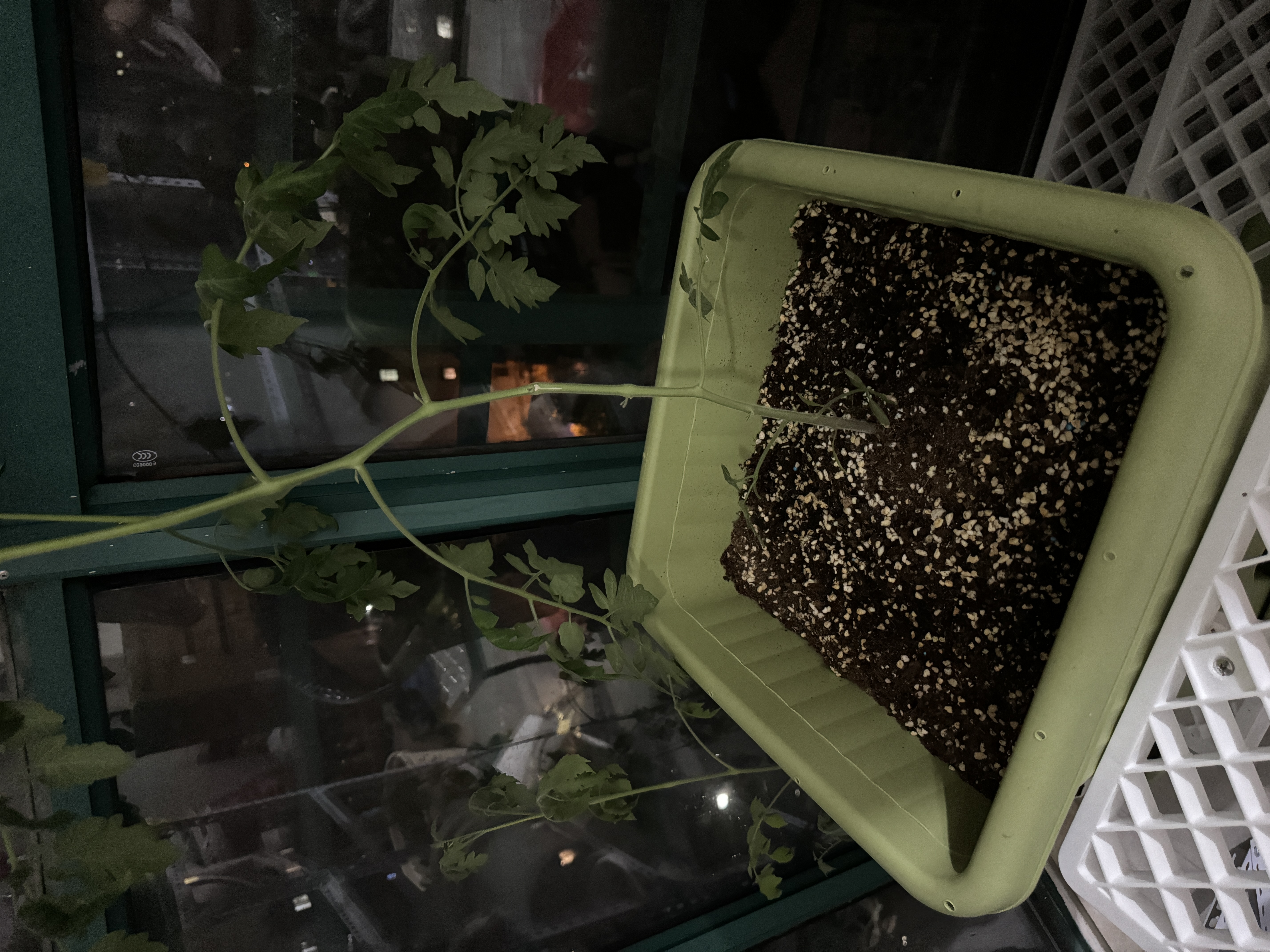 爱丽思（IRIS）阳台种菜盆家庭长方形蔬菜种植盆大号长条盆家用大花盆种菜专用箱 绿色400 容量25L 盆托套装（1套） 实拍图