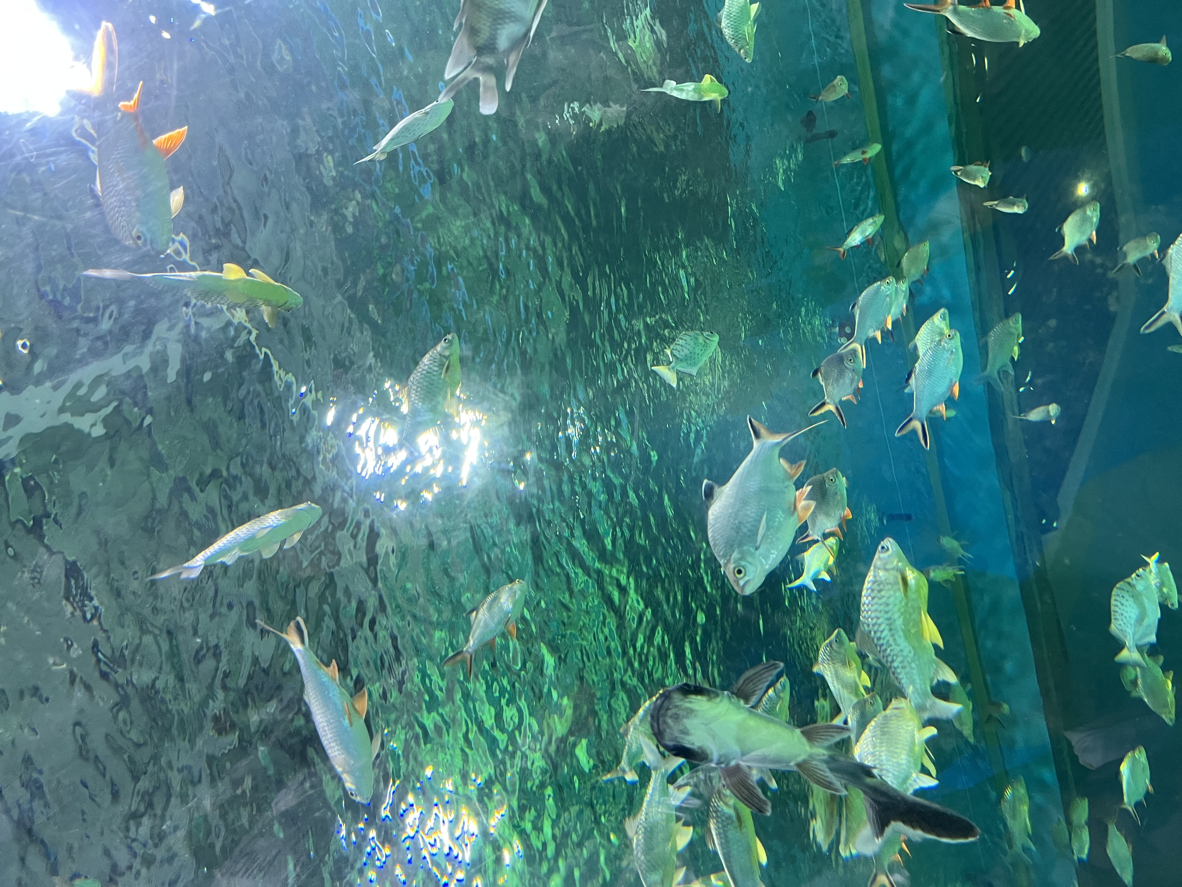 特步流年2代丨男鞋运动休闲老爹鞋春夏透网透气轻便增高休闲鞋子男 实拍图