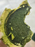 鲜京采七重抹茶柚子柠乳蛋糕255g糕点零食早餐下午茶 实拍图