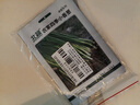 北蔬 小香葱种子四季播种阳台盆栽蔬菜种籽 四季小香葱种子1000粒x2包 实拍图