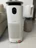 东芝（TOSHIBA）空气净化器宠物净化器大白梨PET去毛除毛大风量除花粉过敏源除尘净化除螨消毒杀菌除味 实拍图