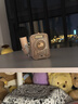 Divoom点音 小魔女蓝牙音箱插卡收音机带麦克风K歌音响家用KTV迷你无线话筒小型音响送女朋友孩童礼物 实拍图