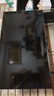 TCL雷鸟电视【价保618】 50雀5 50英寸 144Hz高刷 1.5+32GB内存  平板电视50F295C-JN 实拍图