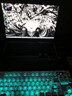 机械革命【京东电脑直播间领券立减800元】极光X 2026 (i7-13700HX 16G 1T RTX5060  灰)游戏本笔记本电脑 实拍图