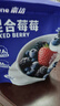 素坊每日莓果 冷冻混合草莓树莓新鲜蓝莓鲜果黑莓速冻水果冰冻浆果 【大包装】蓝莓200g*4袋 实拍图