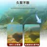 西部风（Xibu feng） 西部风老坛甜薯玉米窝料野钓鲫鲤草青鱼打窝钓鱼饵料发酵底窝料 老坛甜薯玉米5袋 实拍图