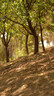 适马（SIGMA）56mm F1.4 DC DN｜Contemporary 半画幅大光圈定焦镜头 人像特写（适马56 f1.4索尼E卡口） 实拍图