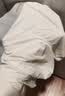 海澜之家（HLA）男士冰丝内裤男生2026年新款冰丝内裤首次免洗15A抗菌无痕短裤 升级60D超薄超凉冰丝首次免洗15A抗菌-黑色/深灰/浅灰 3条 XL /175(体重130-150斤) 实拍图