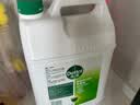 滴露（Dettol）消毒液5L大桶装消毒水家用商用工业车间酒店物业衣物环境消毒杀菌 实拍图