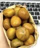 三只松鼠甘栗仁50g*4袋 坚果炒货果仁休闲零食品栗子板栗 实拍图