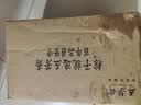 五芳斋中华老字号 端午节嘉兴粽子 早餐食品 100克*4真空原香赤豆粽 实拍图
