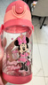 迪士尼（Disney）儿童水杯女孩吸管杯米妮水壶上学专用小学生幼儿园夏季直饮杯子 实拍图