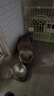 BOTH 烘焙猫粮 幼猫成猫全阶段 鸭肉梨泪痕管理 猫粮试吃200g 实拍图